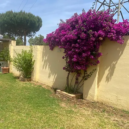 Huelva Garden * アルハラケ